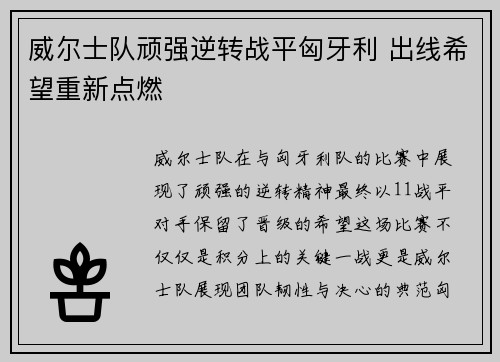 威尔士队顽强逆转战平匈牙利 出线希望重新点燃