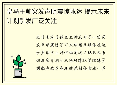 皇马主帅突发声明震惊球迷 揭示未来计划引发广泛关注