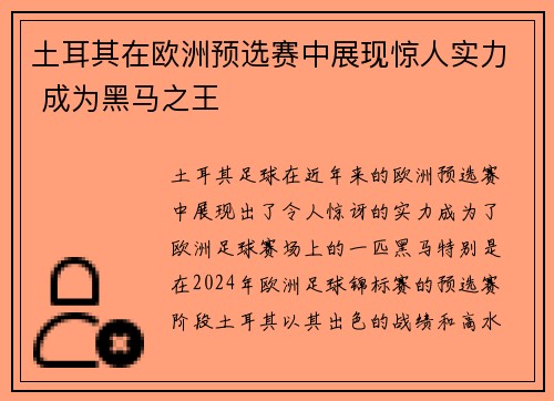 土耳其在欧洲预选赛中展现惊人实力 成为黑马之王