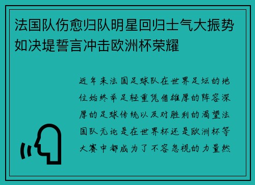 法国队伤愈归队明星回归士气大振势如决堤誓言冲击欧洲杯荣耀
