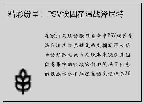 精彩纷呈！PSV埃因霍温战泽尼特