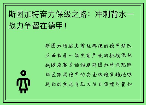 斯图加特奋力保级之路：冲刺背水一战力争留在德甲！