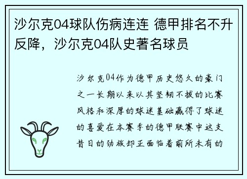 沙尔克04球队伤病连连 德甲排名不升反降，沙尔克04队史著名球员