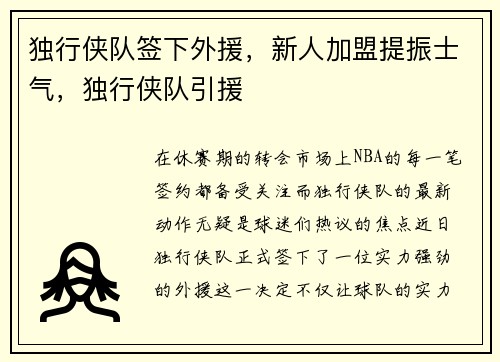 独行侠队签下外援，新人加盟提振士气，独行侠队引援