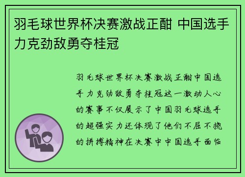 羽毛球世界杯决赛激战正酣 中国选手力克劲敌勇夺桂冠