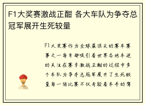 F1大奖赛激战正酣 各大车队为争夺总冠军展开生死较量